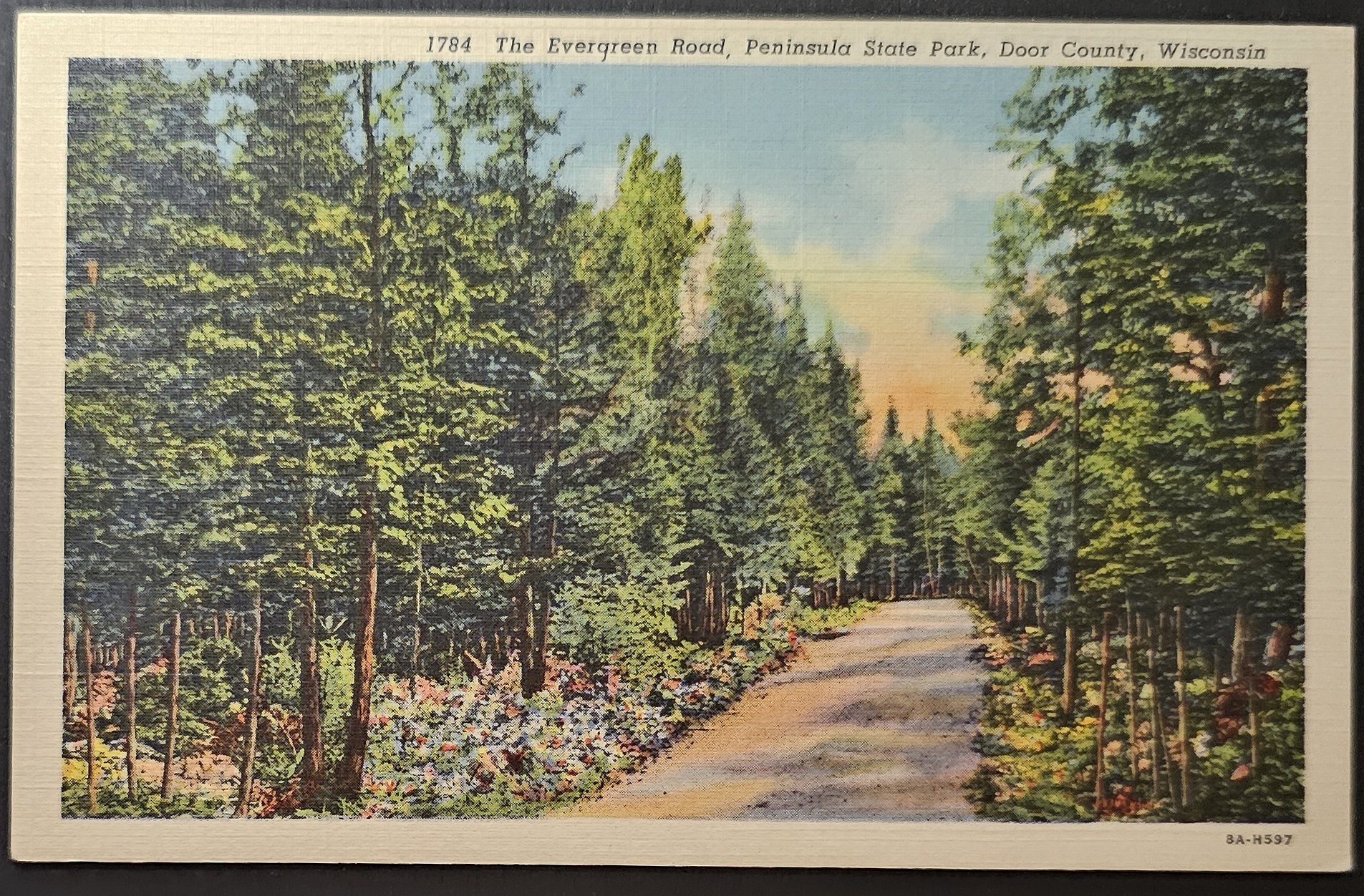 (image for) postcard USA - WI - Wisconsin #0024